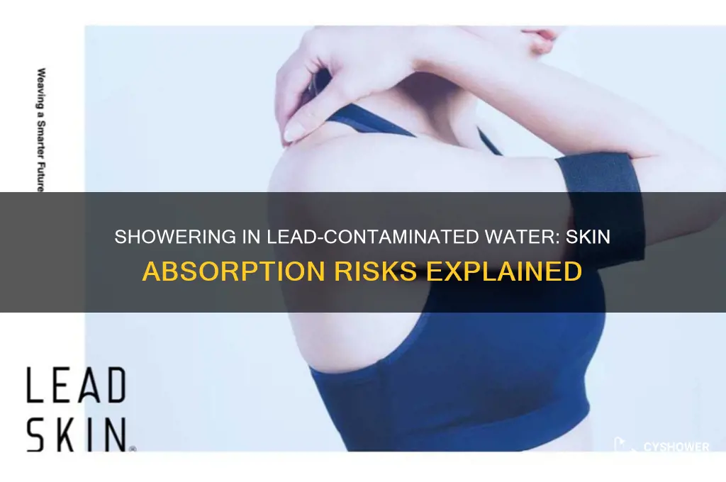 can you absorb lead through your skin in shower