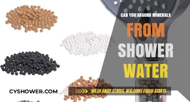 Shower Water Mineral Absorption: Fact or Fiction? Unveiling the Truth