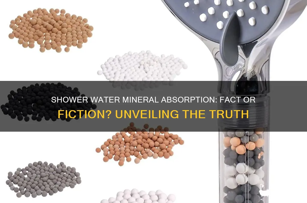 can you absorb minerals from shower water