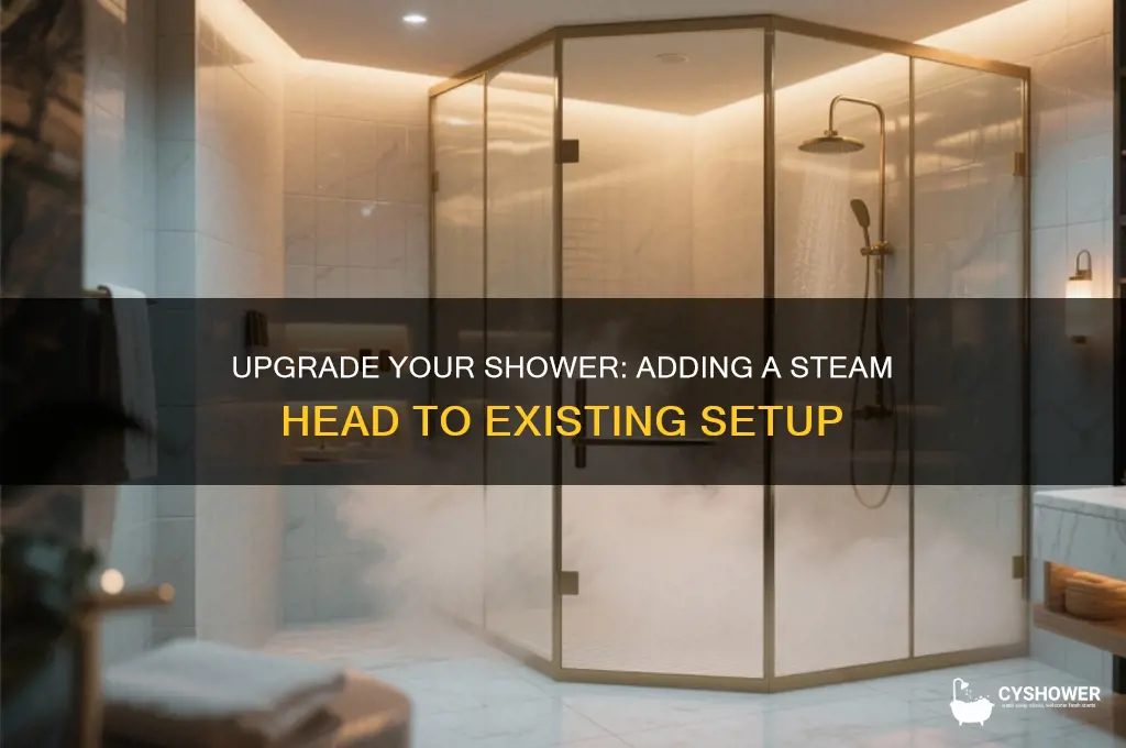 can you add a steam head onto an existing shower