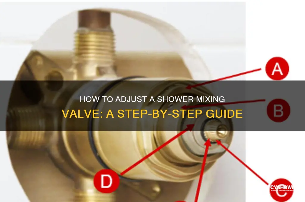 can you adjust a shower mixing valve