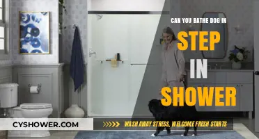 Bathing Your Dog in a Step-In Shower: Tips and Tricks