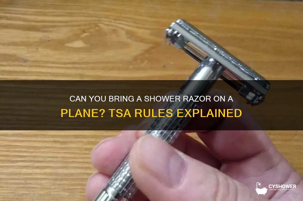 can you bring a shower razor on a plane