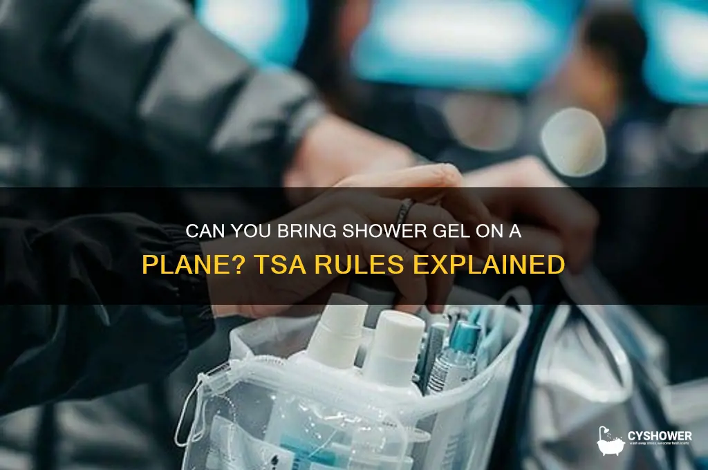 can you bring shower gel on ap lane