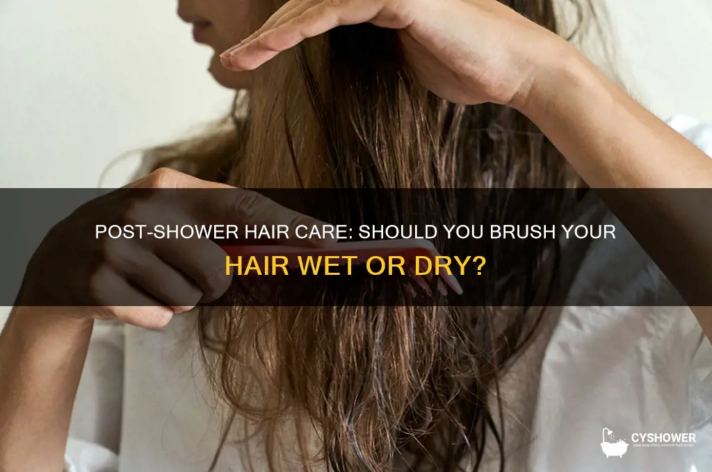 can you brush your hair after shower