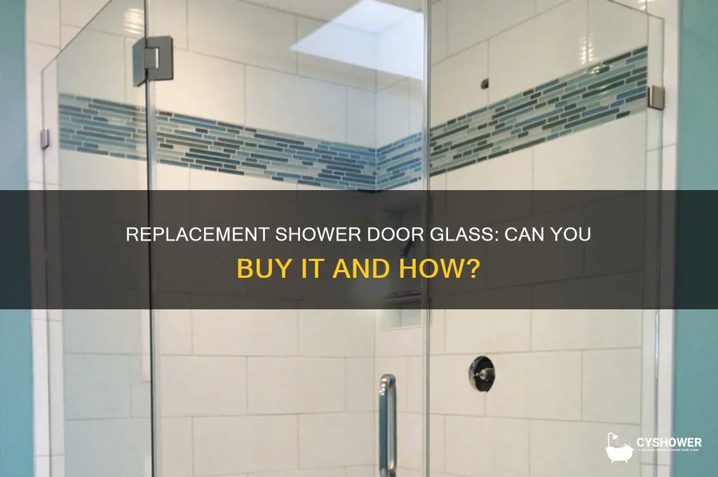 can you buy a replacement glass for a shower door