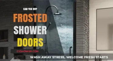 Frosted Shower Doors: Where to Buy and Why They're Worth It