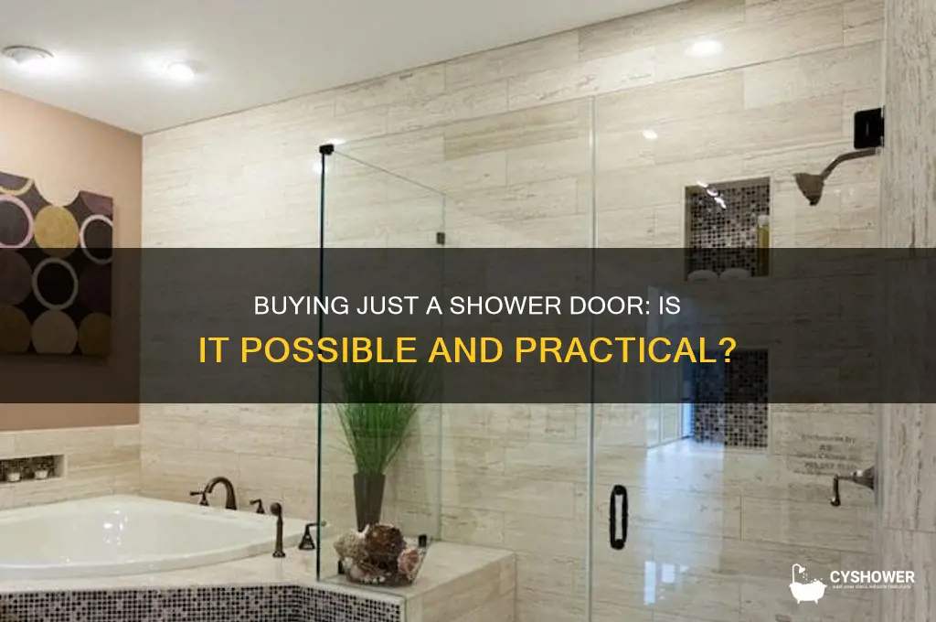 can you buy just a shower door