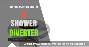 Replacing Shower Diverter Knob: Can You Buy Just the Knob?