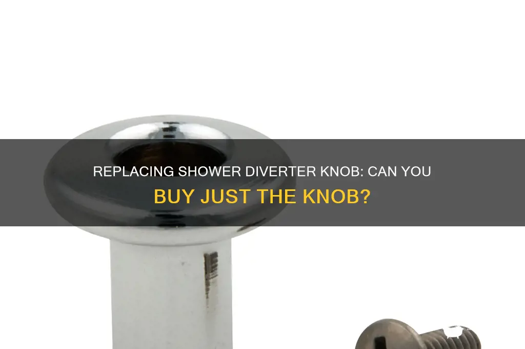 can you buy just the knob for a shower diverter