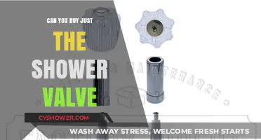 Buying Just the Shower Valve: Is It Possible and Practical?