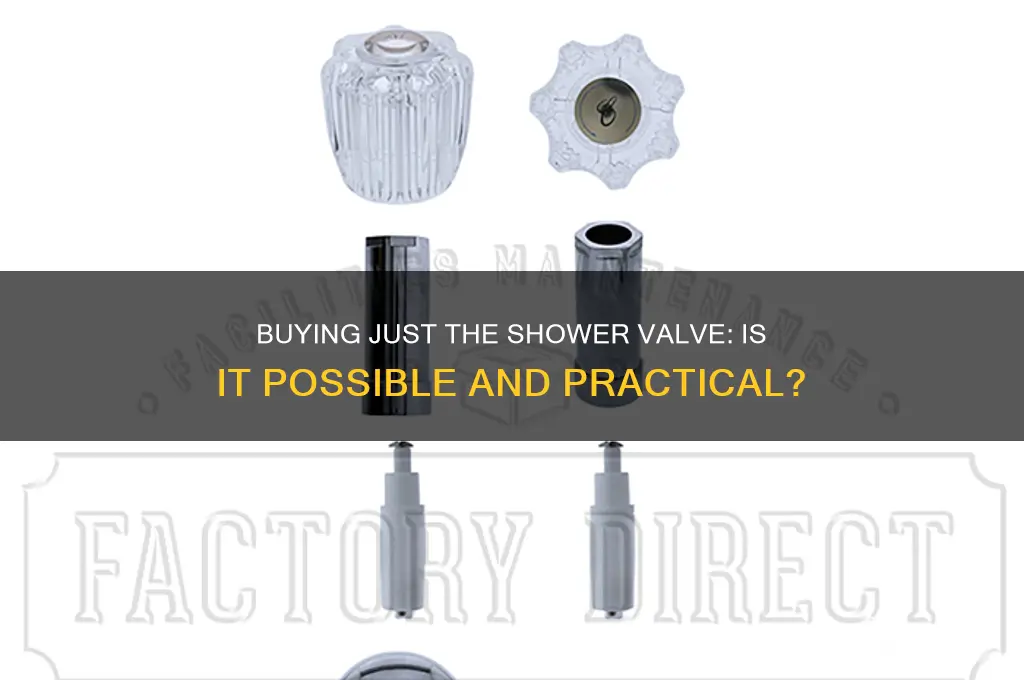 can you buy just the shower valve