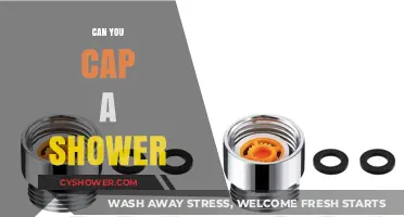 Can You Cap a Shower? Exploring Water-Saving Solutions for Your Home