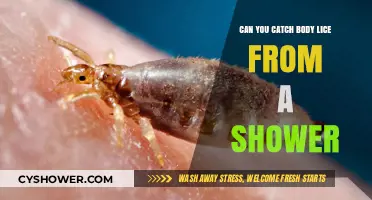 Can Showering Spread Body Lice? Debunking Common Myths and Facts