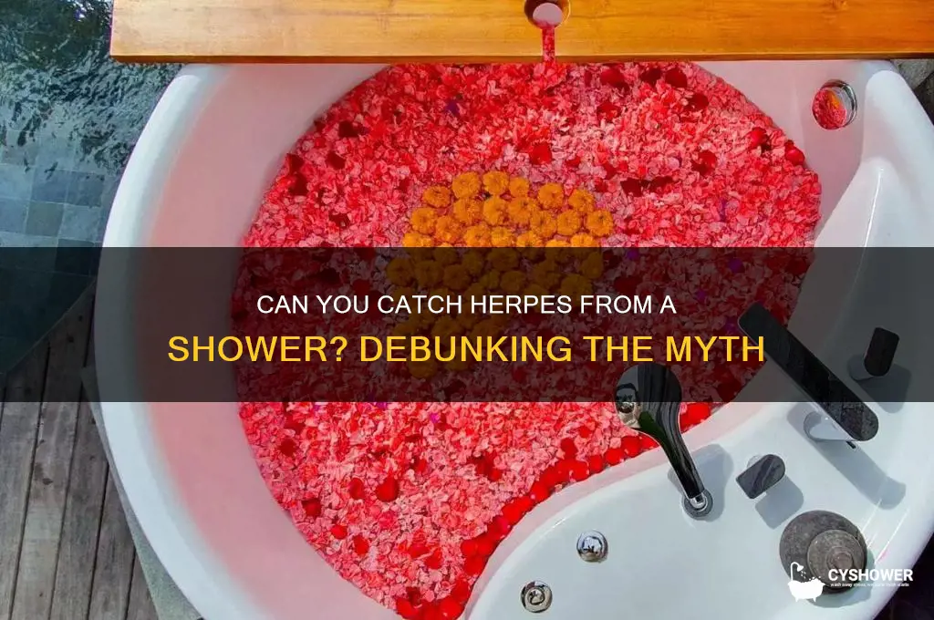 can you catch herpes from shower