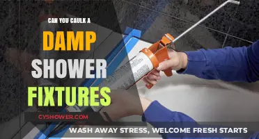 Caulking Damp Shower Fixtures: Best Practices and Potential Pitfalls