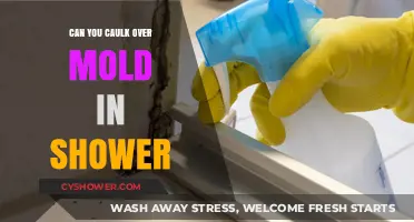 Can You Caulk Over Mold in Shower? Risks and Solutions