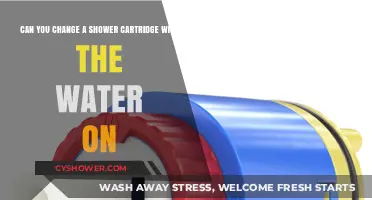 Can You Change a Shower Cartridge with the Water On?