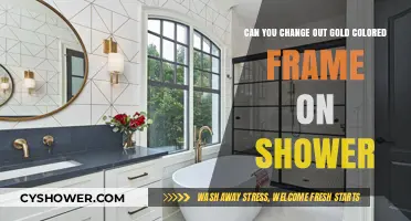 How to Replace Gold Shower Frame with Modern Upgrade Options