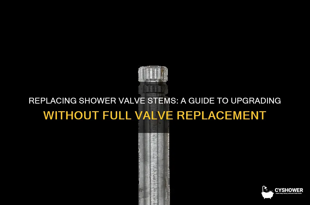 can you change shower valve stems without changing valve