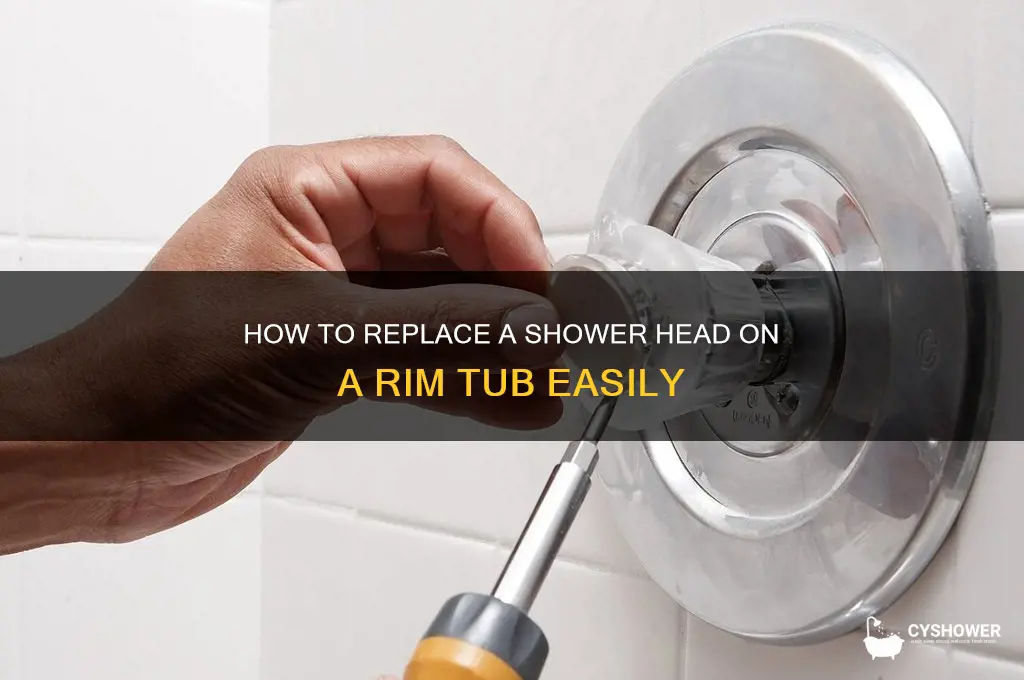 can you change the shower head on a rim tub