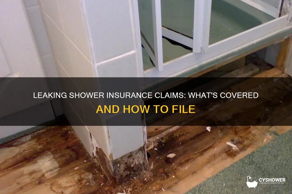 can you claim a leaking shower on insurance