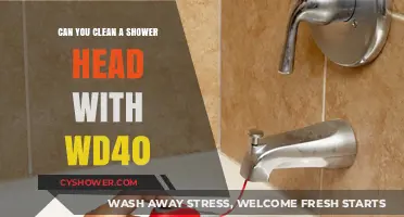 WD-40 for Shower Heads: Effective Cleaning Hack or Myth?