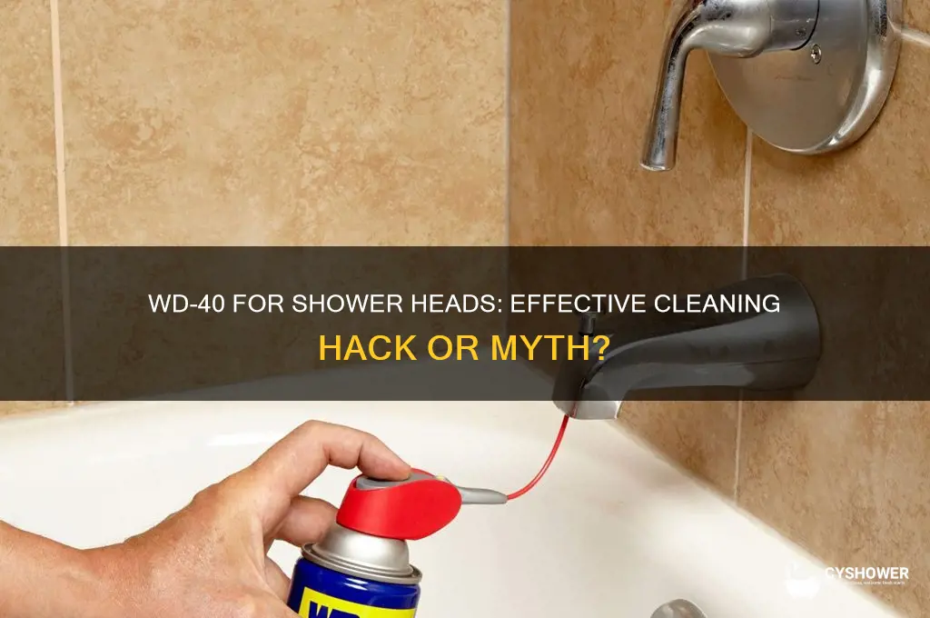 can you clean a shower head with wd40