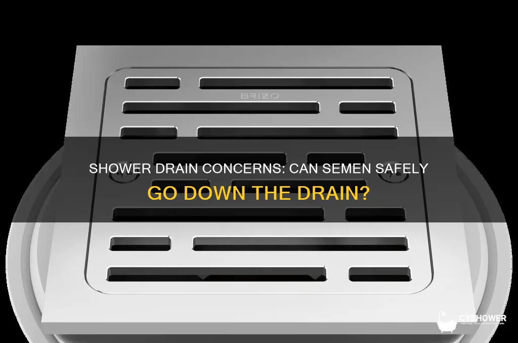 can you cum down the shower drain