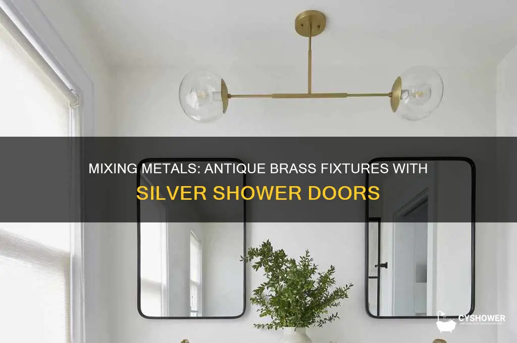 can you do antique brass fixtures with silver shower doors