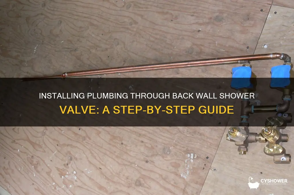 can you do plumbing through back wall shower valve