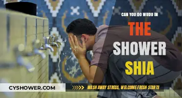 Shower Wudu in Shia Islam: Validity and Practical Guidelines