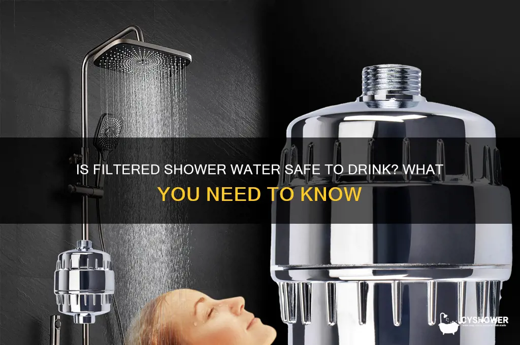 can you drink filtered shower water