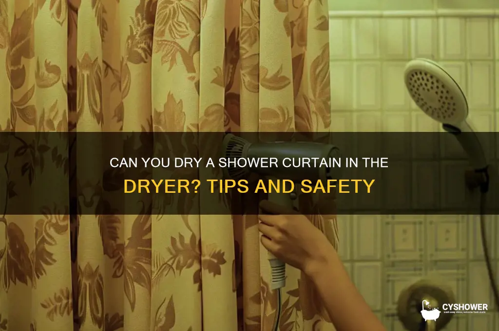 can you dry a shower curtain in the dryer