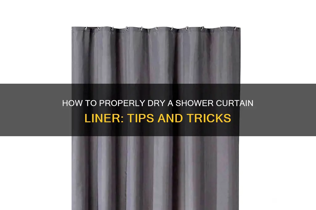 can you dry a shower curtain liner