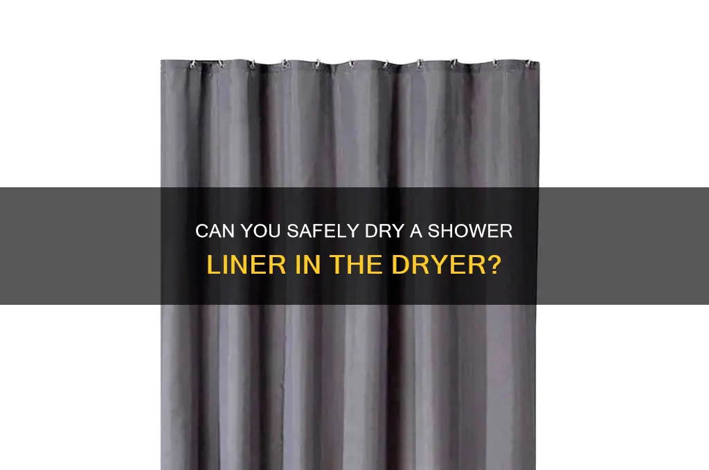 can you dry shower liner in dryer