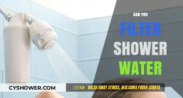 Can You Filter Shower Water? A Guide to Cleaner, Healthier Showers