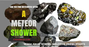Finding Meteorites Post-Shower: Tips for Hunting Cosmic Treasures