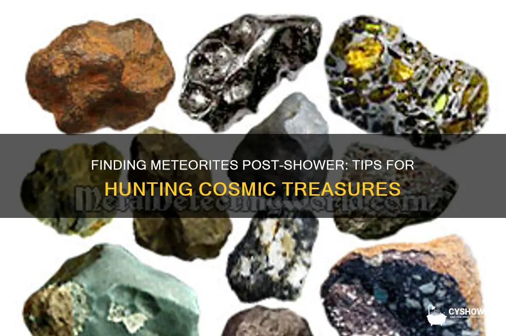 can you find meteorites after a meteor shower