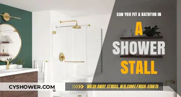 Fitting a Bathtub in a Shower Stall: Creative Bathroom Renovation Ideas