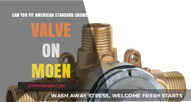 Can American Standard Shower Valves Replace Moen Valves? Compatibility Guide