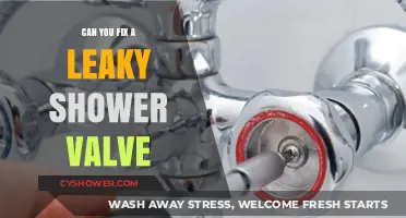 How to Repair a Leaky Shower Valve: DIY Guide and Tips