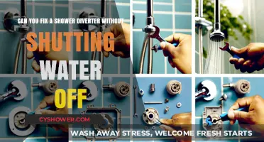 Fixing a Shower Diverter Without Turning Off the Water Supply