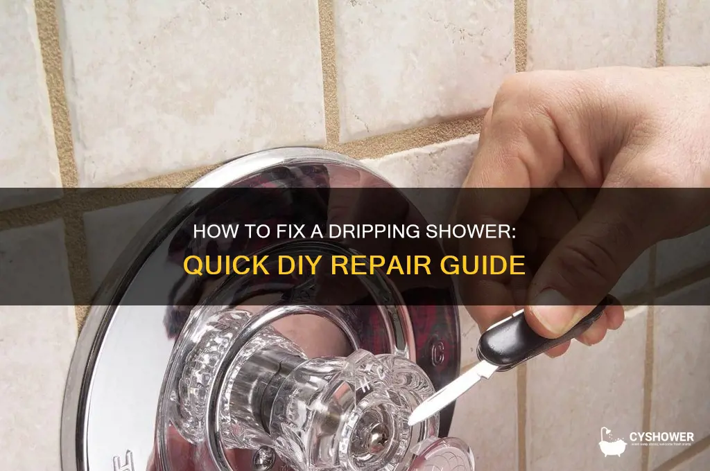 can you fix a shower that drips