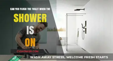 Flushing While Showering: How It Affects Your Plumbing System