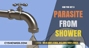 Shower Parasite Risks: Can You Catch an Infection While Bathing?