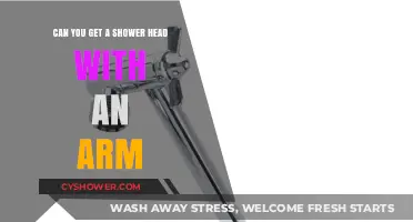Shower Head with an Arm: Is It a Viable Option?