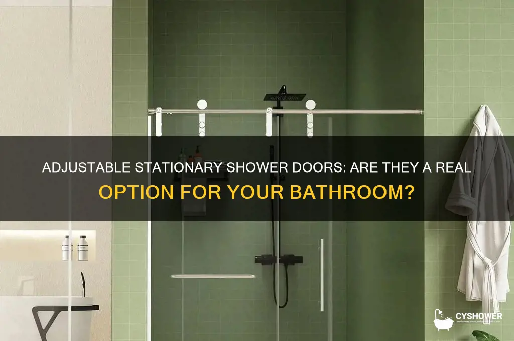 can you get adjustable stationary shower doors
