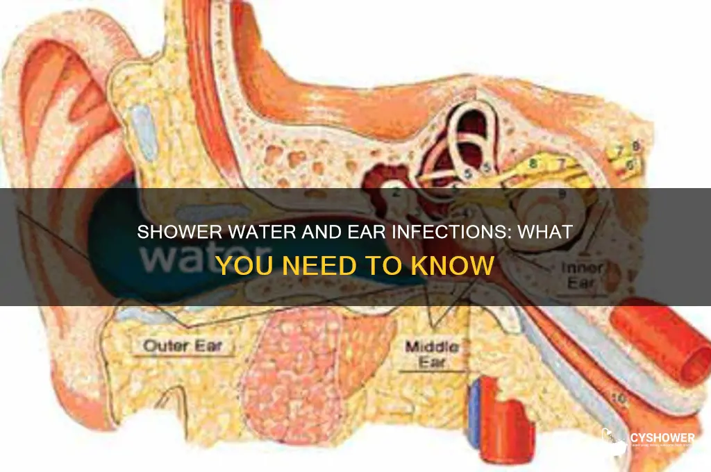 can you get an ear infection from shower water