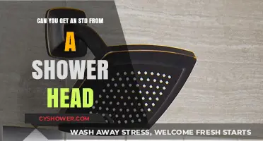 Can Shower Heads Transmit STDs? Separating Fact from Fiction